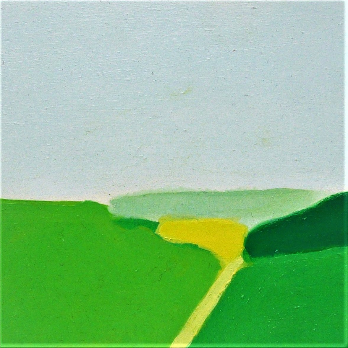 Scheda n. 629 Paesaggio verde P30 2010 olio sut avola 28x28